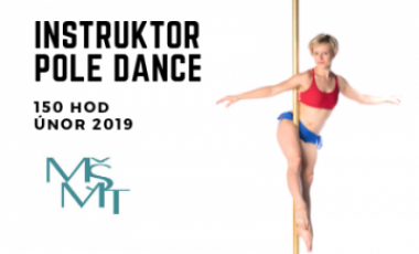 Instruktor Pole Dance - základní kurz - 01/2019