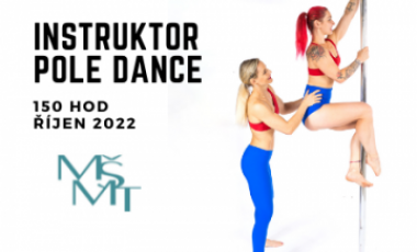 Instruktor pole dance - Základní kurz 02/22